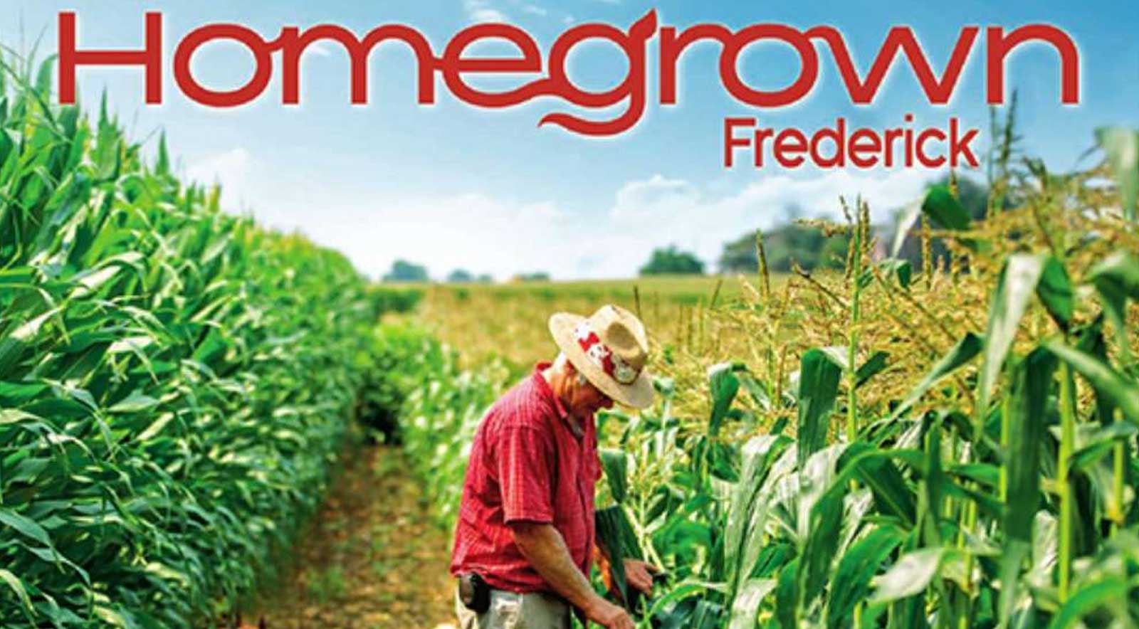 Homegrown Frederick man in field