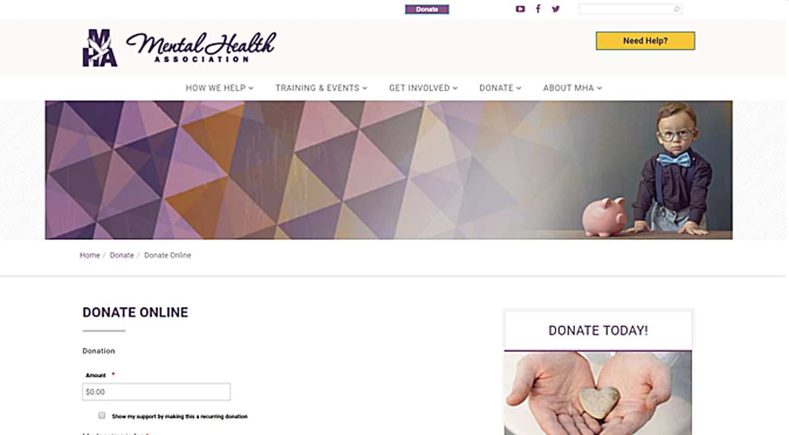 Mental health association donations page