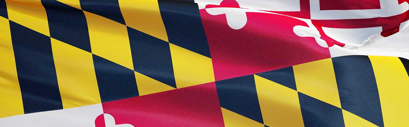 Maryland flag