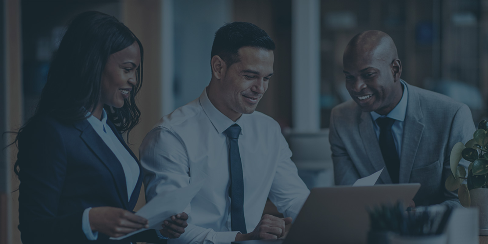 business executives reading custom software development guide