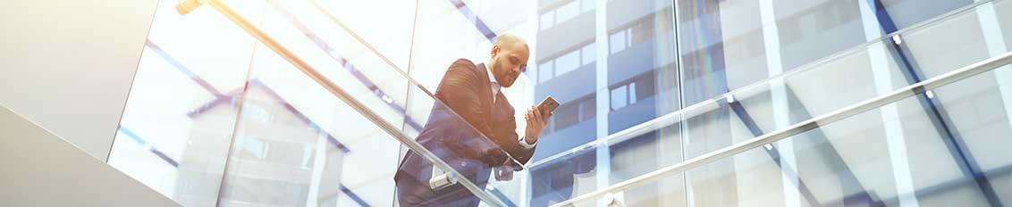 Executive using an enterprise application