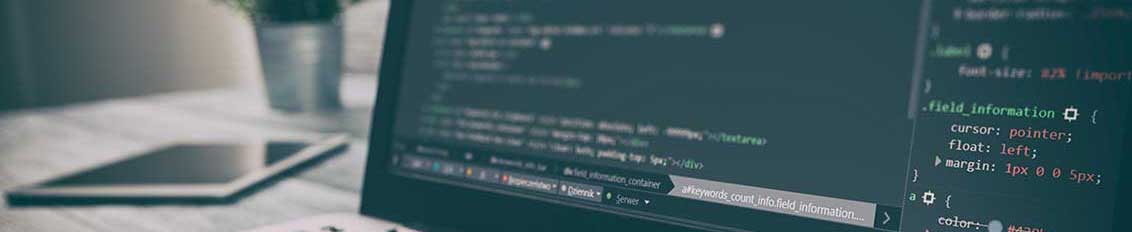 Programmer in the middle of web application development