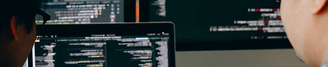 Developers in the middle of the custom web application development process
