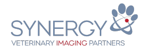 Synergy Logo