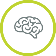 brain icon