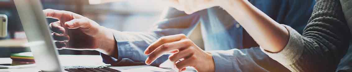 business partners working on b2b vendor portal