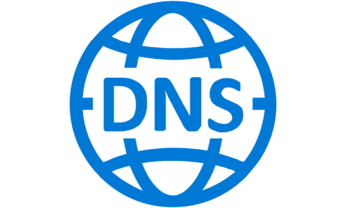 dns logo