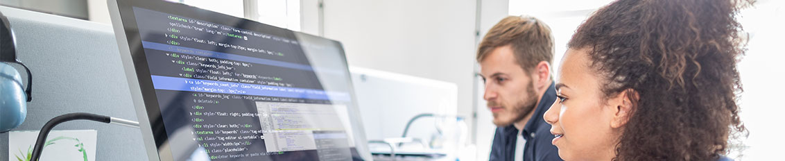 employees of a web portal development company designing a custom web portal