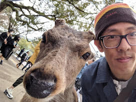 David Leung Bio Pic
