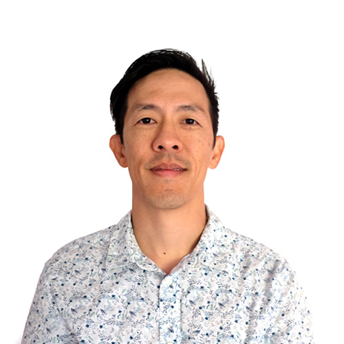 David Web Pro