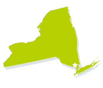 New York Vector