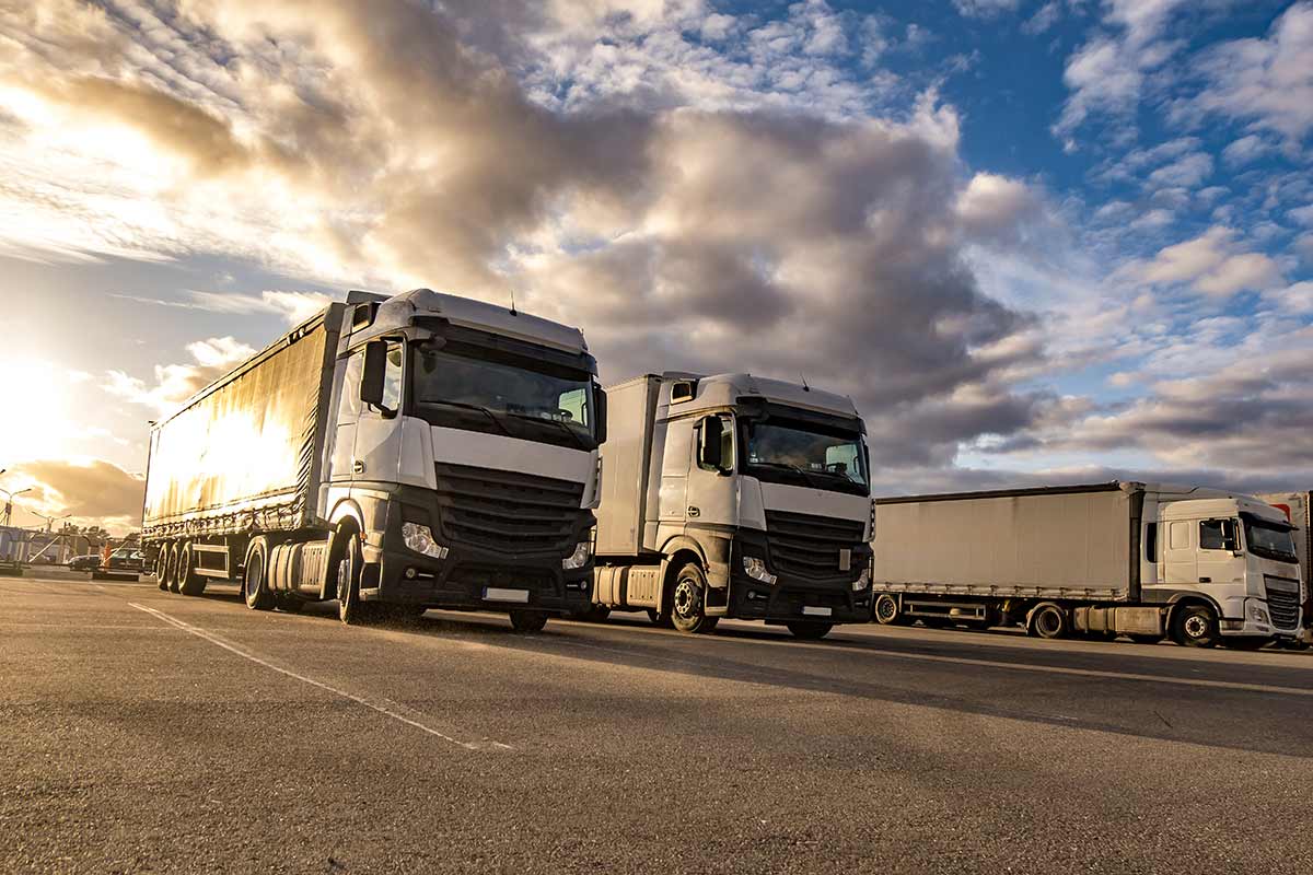 fleet of cars operating under transporation management software