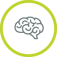 brain icon