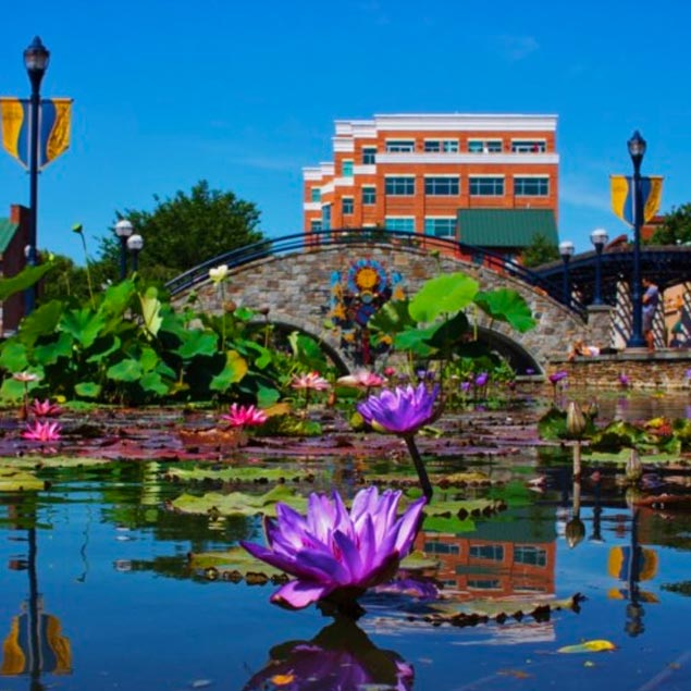 frederick county office of economic development landscape