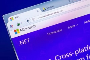 microsoft .net website