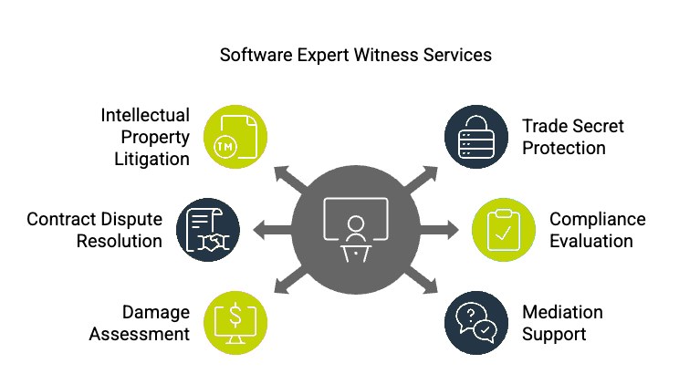 Notable Features & Functionalities A Software Expert Witness Offers